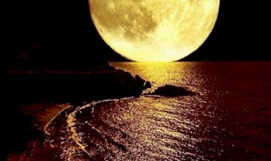 Интересные факты из истории " ПУТЕШЕСТВИЕ НА ЛУНУ".