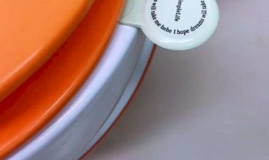 Туалетная тема