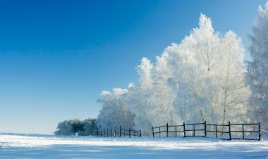 Светлая зима
