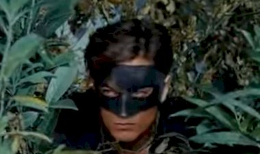 Великолепный костюмный фильм "Чёрный тюльпан".