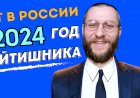 IT в России: стоит ли в 2024 году идти учиться на айтишника