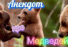 Анекдот про Медведей.