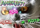 Анекдот про Мужа и Кота.