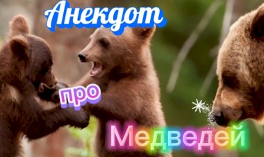 Анекдот про Медведей.