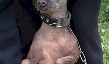 "Жертва" моды