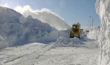 Снег Сахалина