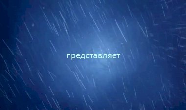 Диана Анкудинова