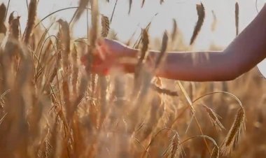 Диана Анкудинова " Голосом твоим"