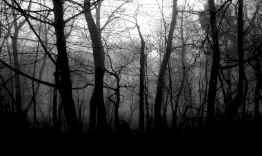 Рубрика: мистические истории из жизни