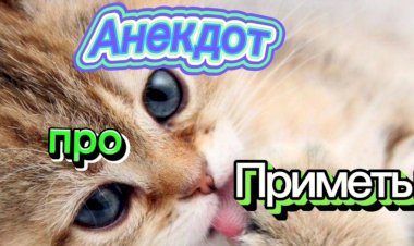 Анекдот про Приметы.