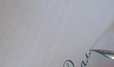 Каллиграфия пером и тушью - имя Валя #леттеринг #каллиграфия #lettering