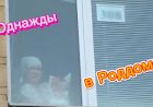 Однажды в Роддоме