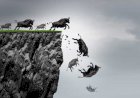 Несущегося быка к пропасти не остановить