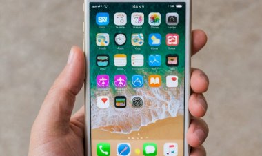 Смартфоны iPhone – что делает их такими популярными?