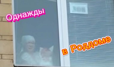 Однажды в Роддоме