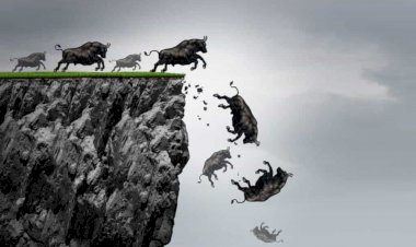 Несущегося быка к пропасти не остановить