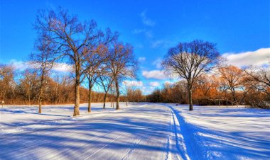 Где ты Февраль)