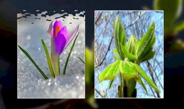 Весенние пейзажи в фото под музыку