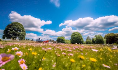 А лето цвета!