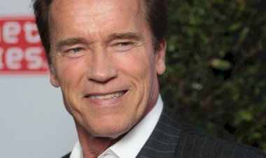 Топ-5 фильмов в главной роли со Шварценеггером с самым высоким рейтингом