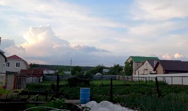 А Лето цвета 2