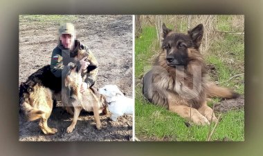 Спи спокойно на радуге песка Балбес (