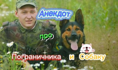 Анекдот про Пограничника и Собаку.