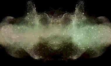 Ну очень вкусные и интересные факты о птичках снигирях