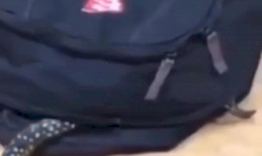 Вы такое Видели?????