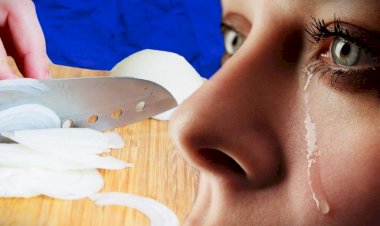 Как не плакать во время резки лука: мнение специалистов