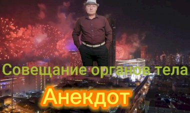 Анекдот про Совещание Органов Тела.