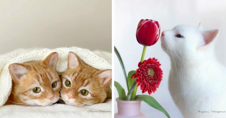 Японская художница создает потрясающе реалистичных кошек из шерсти