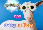 Анекдот про ЗаИку и Козу.