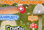 Сбор Грибов ➕ Анекдот про Грибы