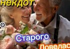 Анекдот про Старого Ловеласа.