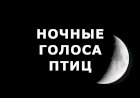 "Какие певчие птицы поют по ночам"
