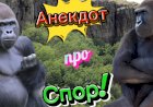 Анекдот про СПОР!!!