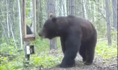 Когда посмотрел на себя в зеркало утром в понедельник...