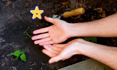 Лайфхаки для дачи