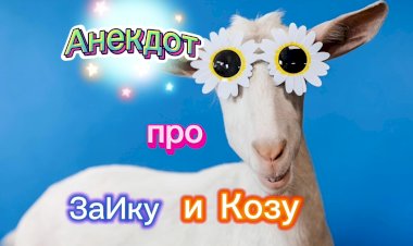 Анекдот про ЗаИку и Козу.