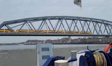 Поезд пересекает реку Рейн, двигаясь по мосту.