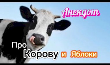 Анекдот про Корову и Яблоки!