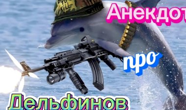 Анекдот про Дельфинов