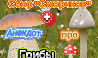 Сбор Грибов ➕ Анекдот про Грибы