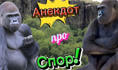 Анекдот про СПОР!!!