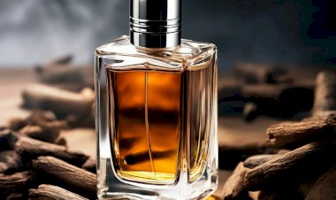 Лучшие ароматы за 2000 рублей: как найти идеальный вариант