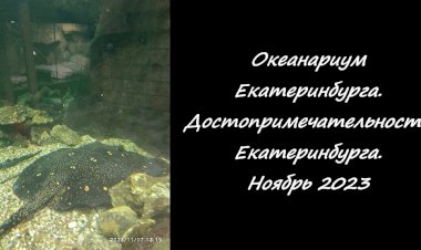 Посещение океанариума в городе Екатеринбург