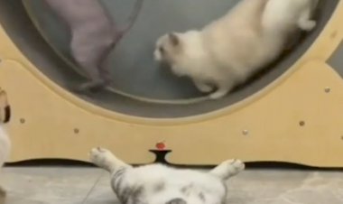 Кто понял жизнь, тот не спешит