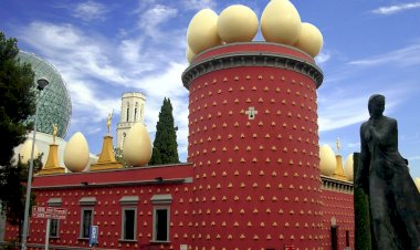 Факты о яйцах и полезные советы