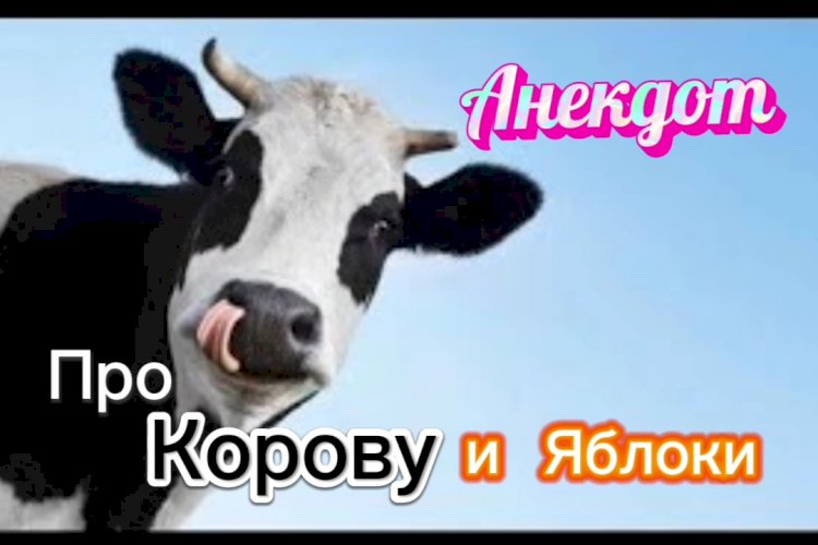 Анекдот про Корову и Яблоки!
